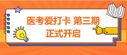 2024年医师刷题神器爱打卡