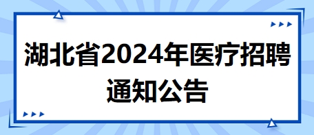 湖北省2024年医疗招聘凯发k8国际娱乐官网入口的公告5